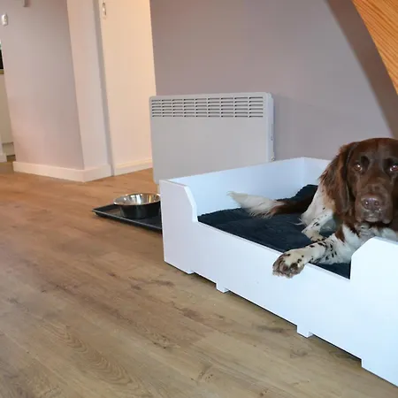 Kernsaniertes Direkt Hinterm Nordseedeich Nr * Friedrichskoog